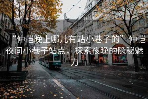 “仲愷晚上哪兒有站小巷子的”仲愷夜間小巷子站點(diǎn)，探索夜晚的隱秘魅力