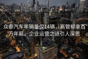 眾泰汽車年銷量僅14輛，高管卻拿百萬年薪，企業運營之謎引人深思
