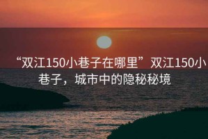 “雙江150小巷子在哪里”雙江150小巷子，城市中的隱秘秘境