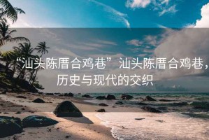 “汕頭陳厝合雞巷”汕頭陳厝合雞巷，歷史與現代的交織
