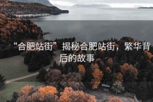 “合肥站街”揭秘合肥站街，繁華背后的故事