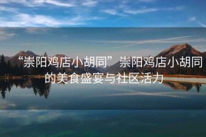 “崇陽雞店小胡同”崇陽雞店小胡同的美食盛宴與社區活力