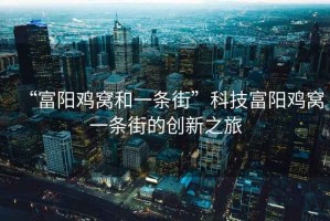 “富陽雞窩和一條街”科技富陽雞窩一條街的創新之旅