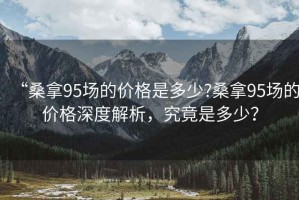 “桑拿95場的價格是多少?桑拿95場的價格深度解析，究竟是多少？