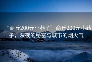 “商丘200元小巷子”商丘200元小巷子，深夜的秘密與城市的煙火氣