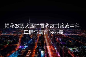 揭秘放惡犬圍捕雪豹致其癱瘓事件，真相與謠言的碰撞