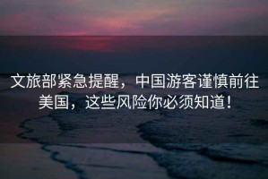 文旅部緊急提醒，中國游客謹慎前往美國，這些風險你必須知道！