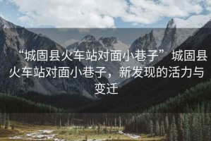 “城固縣火車站對面小巷子”城固縣火車站對面小巷子，新發現的活力與變遷