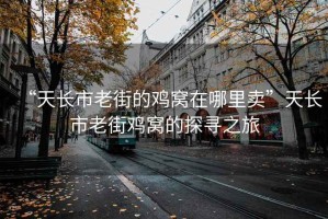 “天長市老街的雞窩在哪里賣”天長市老街雞窩的探尋之旅