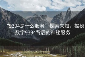 “9394是什么服務”探索未知，揭秘數字9394背后的神秘服務
