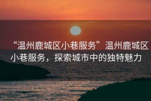 “溫州鹿城區小巷服務”溫州鹿城區小巷服務，探索城市中的獨特魅力