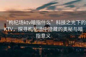 “枸杞場ktv暗指什么”科技之光下的KTV，探尋枸杞場中隱藏的奧秘與暗指意義