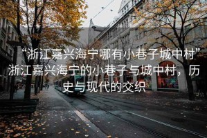 “浙江嘉興海寧哪有小巷子城中村”浙江嘉興海寧的小巷子與城中村，歷史與現(xiàn)代的交織