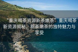 “重慶喝茶資源新茶嫩茶”重慶喝茶新資源揭秘，新茶嫩茶的獨特魅力與享受
