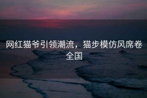 網紅貓爺引領潮流，貓步模仿風席卷全國