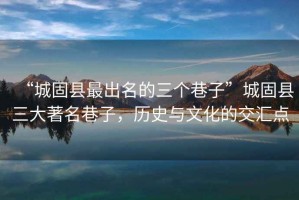 “城固縣最出名的三個巷子”城固縣三大著名巷子，歷史與文化的交匯點(diǎn)