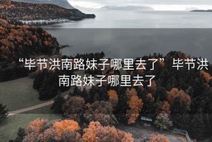 “畢節洪南路妹子哪里去了”畢節洪南路妹子哪里去了