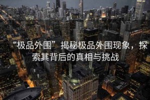 “極品外圍”揭秘極品外圍現象，探索其背后的真相與挑戰