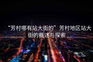 “芳村哪有站大街的”芳村地區站大街的概述與探索