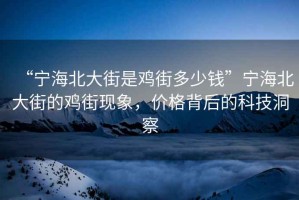 “寧海北大街是雞街多少錢”寧海北大街的雞街現象，價格背后的科技洞察