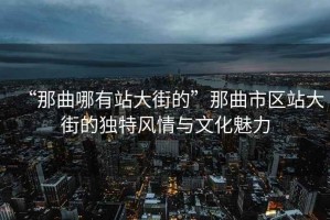 “那曲哪有站大街的”那曲市區(qū)站大街的獨特風情與文化魅力