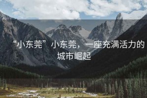 “小東莞”小東莞，一座充滿活力的城市崛起