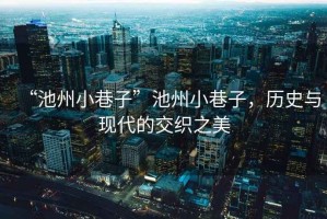 “池州小巷子”池州小巷子，歷史與現代的交織之美