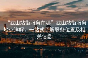 “武山站街服務(wù)在哪”武山站街服務(wù)地點詳解，一站式了解服務(wù)位置及相關(guān)信息