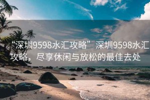 “深圳9598水匯攻略”深圳9598水匯攻略，盡享休閑與放松的最佳去處