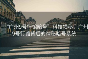 “廣州9號行館暗號”科技揭秘，廣州9號行館背后的神秘暗號系統