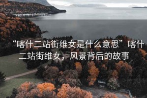 “喀什二站街維女是什么意思”喀什二站街維女，風景背后的故事