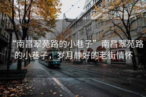 “南昌翠苑路的小巷子”南昌翠苑路的小巷子，歲月靜好的老街情懷