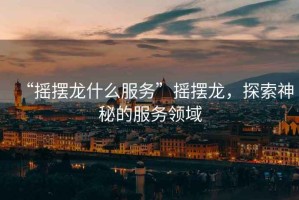 “搖擺龍什么服務”搖擺龍，探索神秘的服務領域