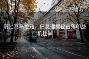 霧鎖喜馬拉雅，巴總理揭秘擊落印戰機壯舉