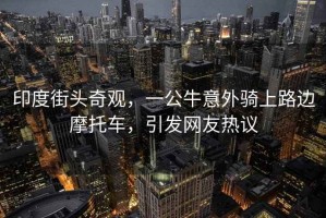 印度街頭奇觀，一公牛意外騎上路邊摩托車，引發網友熱議