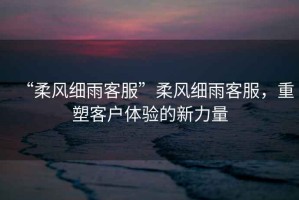 “柔風細雨客服”柔風細雨客服，重塑客戶體驗的新力量