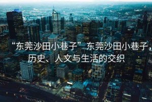 “東莞沙田小巷子”東莞沙田小巷子，歷史、人文與生活的交織