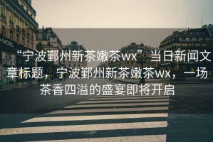 “寧波鄞州新茶嫩茶wx”當日新聞文章標題，寧波鄞州新茶嫩茶wx，一場茶香四溢的盛宴即將開啟
