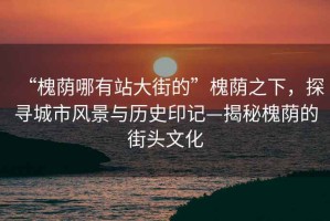 “槐蔭哪有站大街的”槐蔭之下，探尋城市風景與歷史印記—揭秘槐蔭的街頭文化