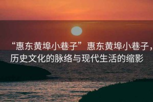 “惠東黃埠小巷子”惠東黃埠小巷子，歷史文化的脈絡(luò)與現(xiàn)代生活的縮影