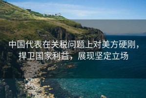 中國代表在關稅問題上對美方硬剛，捍衛(wèi)國家利益，展現堅定立場