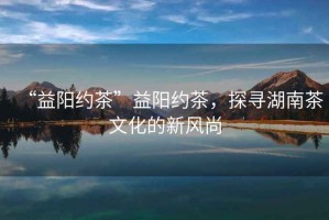 “益陽約茶”益陽約茶，探尋湖南茶文化的新風尚