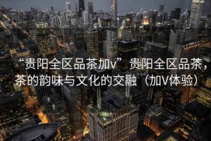 “貴陽全區品茶加v”貴陽全區品茶，茶的韻味與文化的交融（加V體驗）