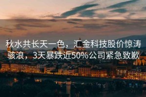 秋水共長天一色，匯金科技股價驚濤駭浪，3天暴跌近50%公司緊急致歉
