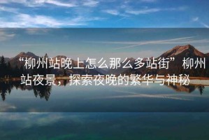 “柳州站晚上怎么那么多站街”柳州站夜景，探索夜晚的繁華與神秘