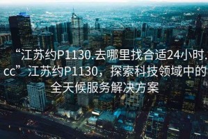 “江蘇約P1130.去哪里找合適24小時.cc”江蘇約P1130，探索科技領域中的全天候服務解決方案