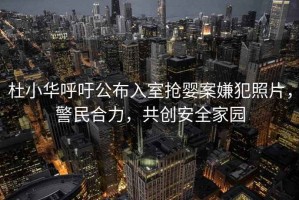 杜小華呼吁公布入室搶嬰案嫌犯照片，警民合力，共創安全家園