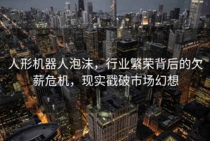 人形機器人泡沫，行業繁榮背后的欠薪危機，現實戳破市場幻想