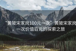 “黃陂宋家崗100元一次”黃陂宋家崗，一次價值百元的探索之旅