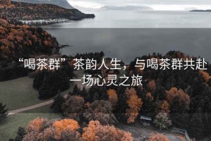 “喝茶群”茶韻人生，與喝茶群共赴一場心靈之旅